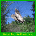 high quality bird nets/anti bird nets for catch bird